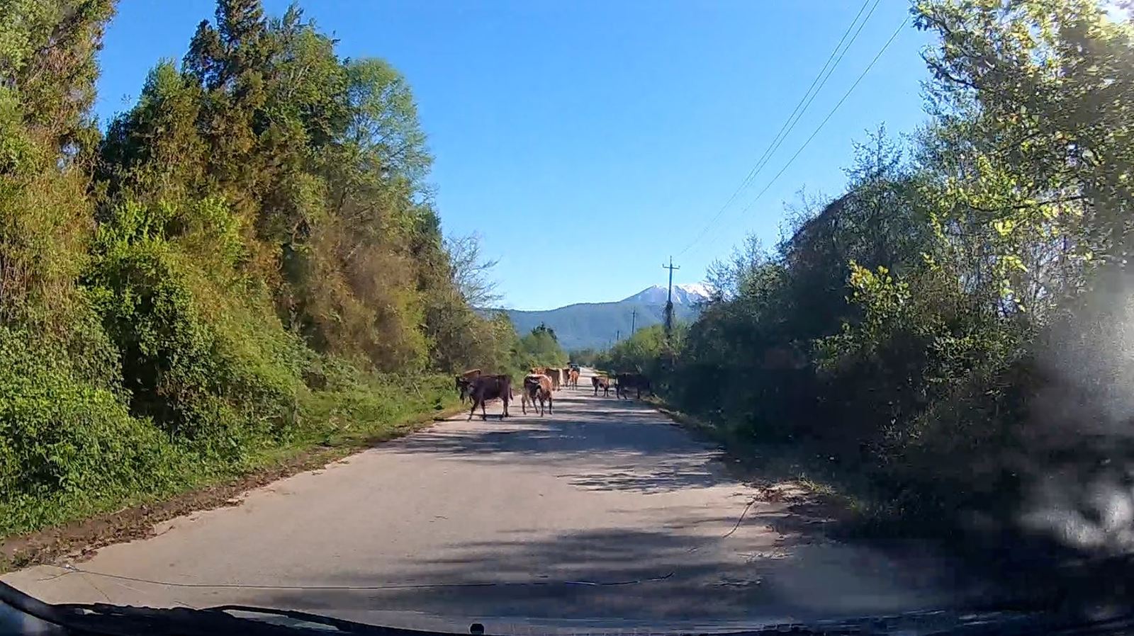 ITABUP, ABKHAZIA! - My, Abkhazia, Apsny, Travels, Vacation, Gudauta, Road trip, Tourism, Longpost