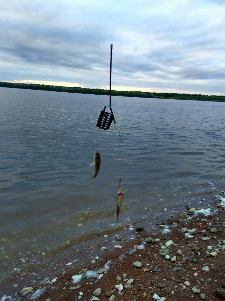 For the soul, not for the sake of pluses - My, Chuvashia, Fishing, Volga, Nature, Fire, Summer, Longpost, Volga river