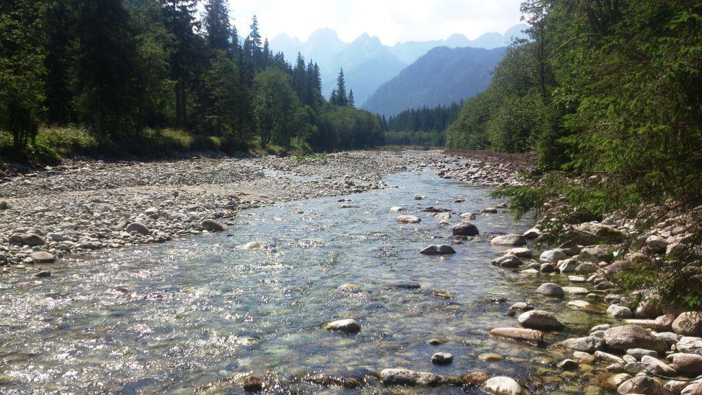 Tatrzanski park and Morskie Oko lake. Part III - Nature, Travels, Longpost