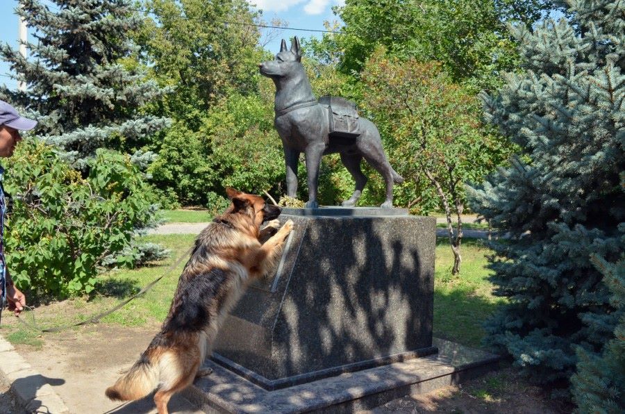 Tribute to the Great Ancestors, War Heroes. - Volgograd, Dog, Monument, Heroes, The Great Patriotic War, Victory