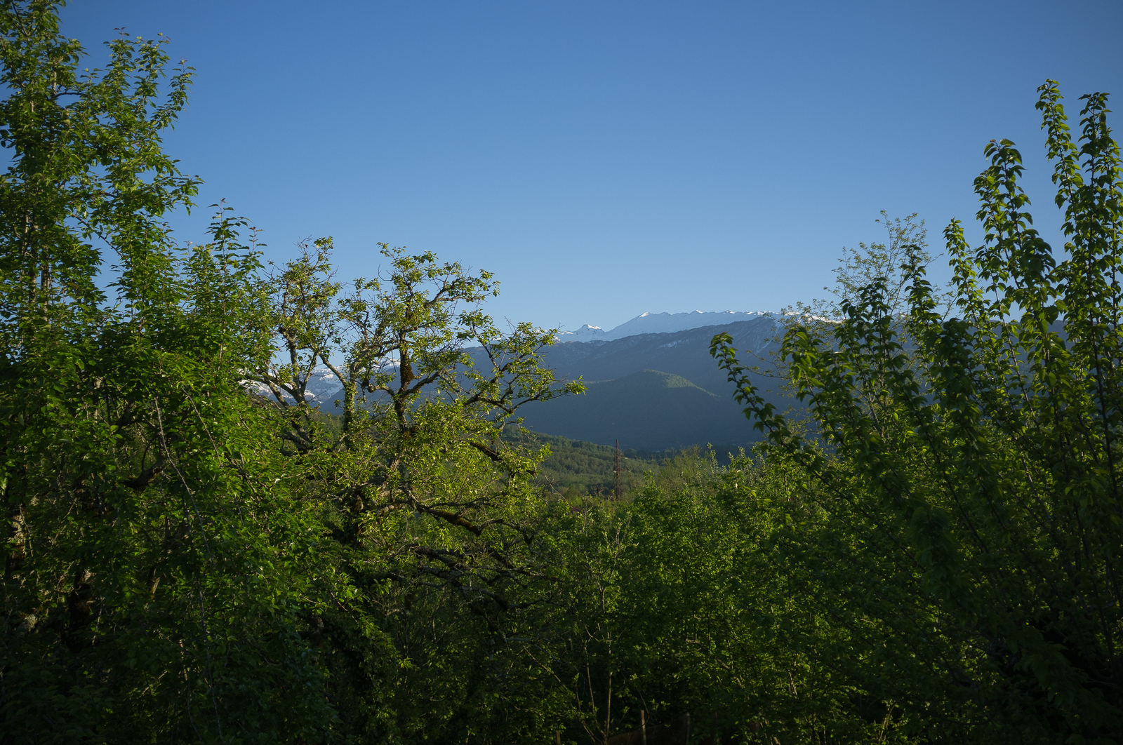 ITABUP, ABKHAZIA! - My, Abkhazia, Apsny, Road trip, Travels, Gudauta, Lykhny, Longpost