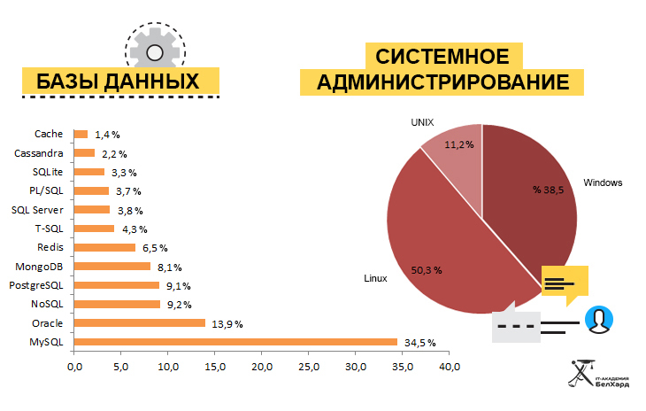 Belarus: Linux is more popular than Windows, the demand for JavaScript developers has grown by one and a half times - My, Republic of Belarus, Programming, IT, Technologies, Database, Framework, , Linux, Longpost