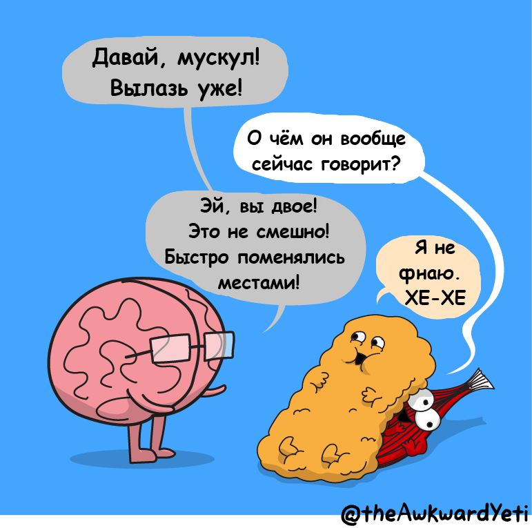 Muscle and fat - Muscle, Fat, Awkward yeti, Comics, Brain