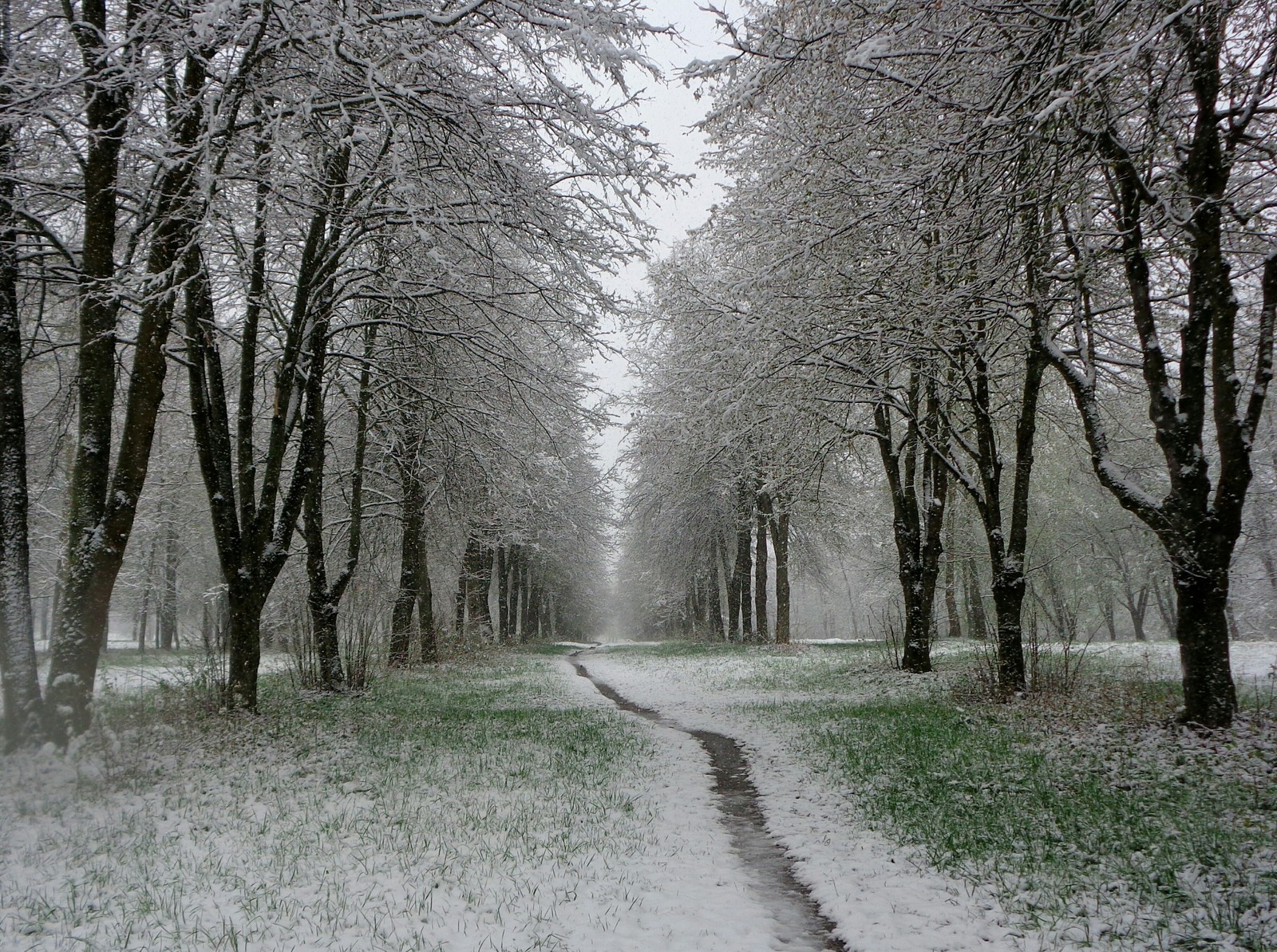 Just spring, just May... - My, Orsha, Republic of Belarus, May, 2017, Weather, Urbanphoto, Snow, Nature, Longpost