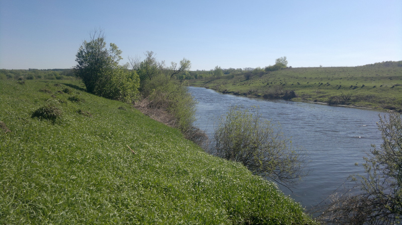 May feeder in tandem on the Upa River - My, Fishing, Feeder, Gustera, Carp, Longpost, Video