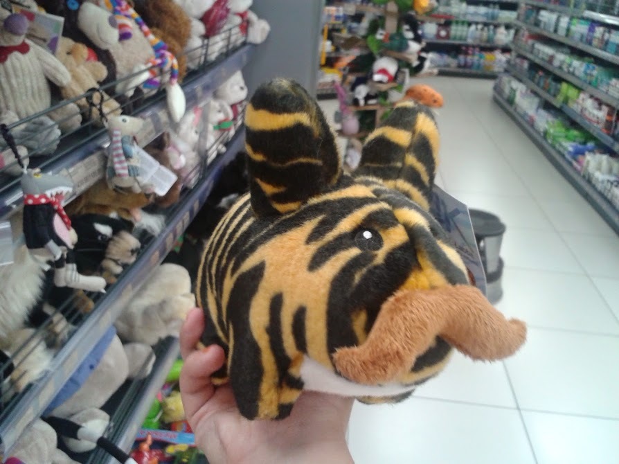 What pokemon is this?? - My, Soft toy, Toys, Tiger, Hare, Усы, What's this?