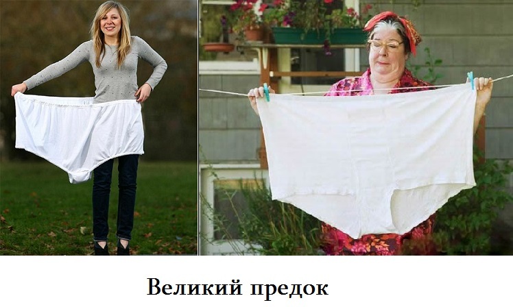 great ancestor - Underpants, The photo, The size, Images