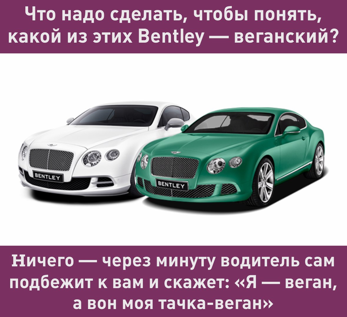 Bentley создаст автомобиль для веганов | Пикабу