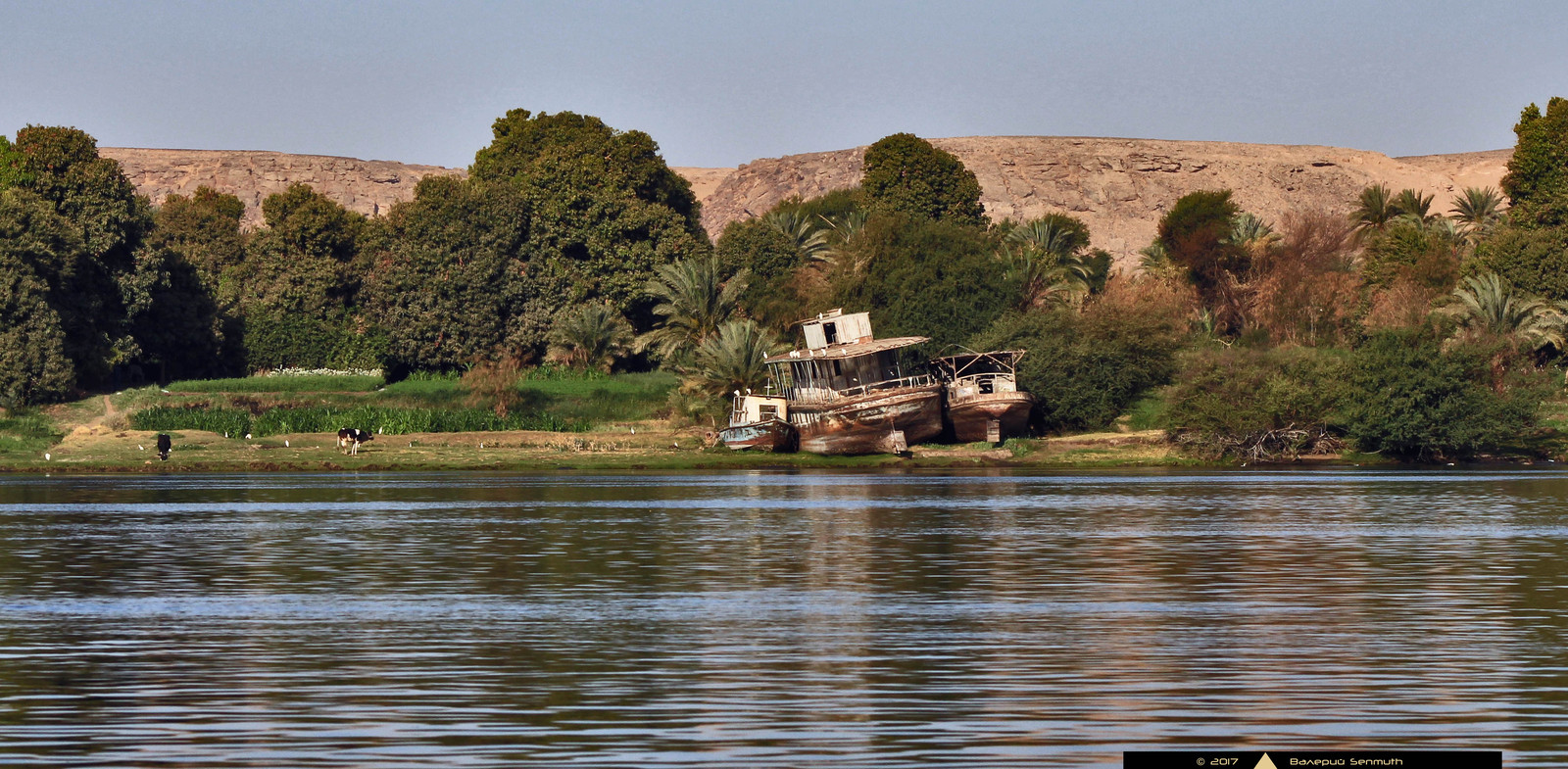 Nile motifs - My, Egypt, Nile, River, Longpost