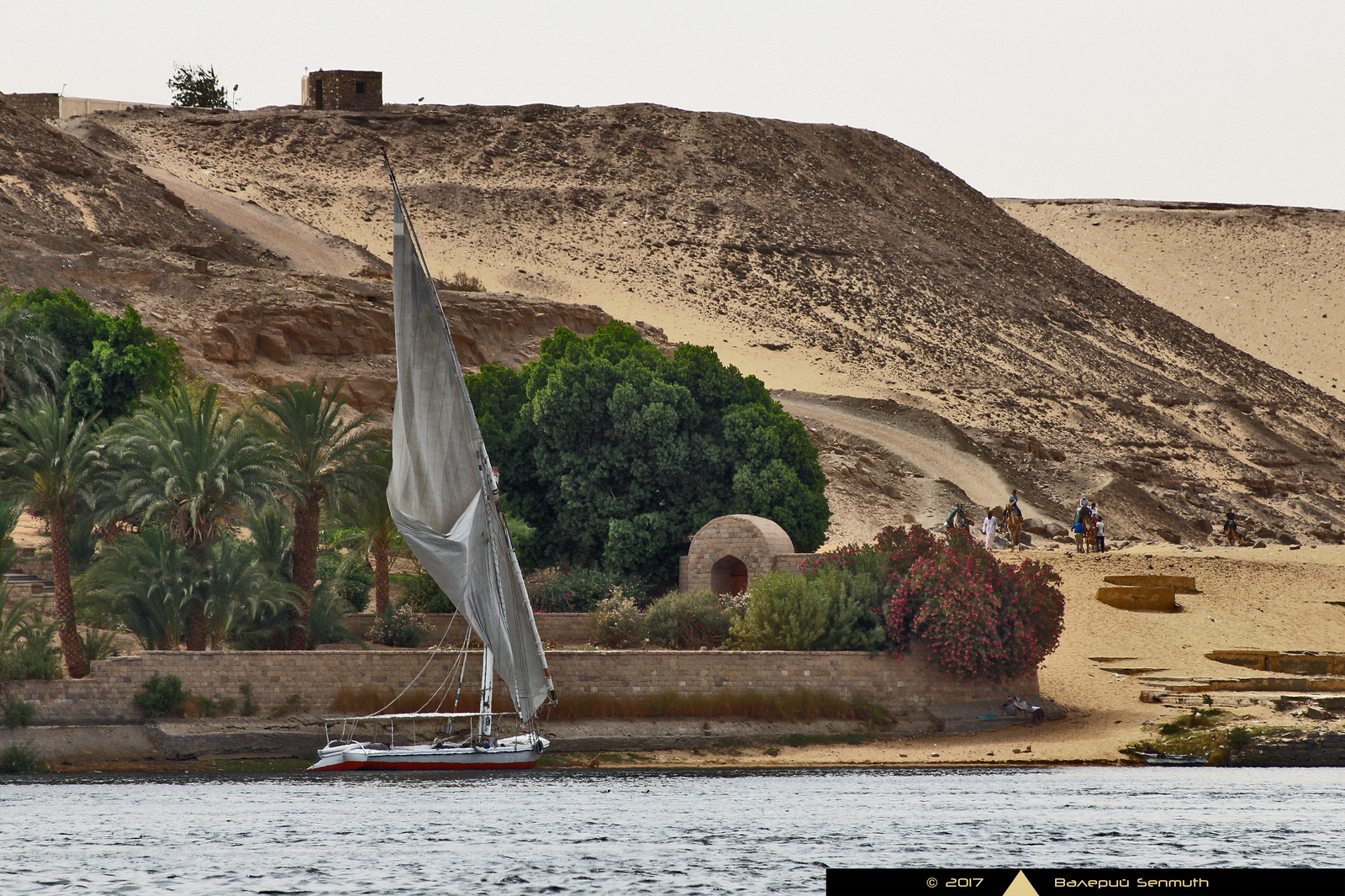 Nile motifs - My, Egypt, Nile, River, Longpost