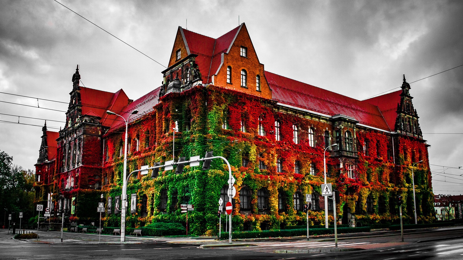 Wroclaw Museum in autumn - My, The photo, Museum, Autumn, Poland