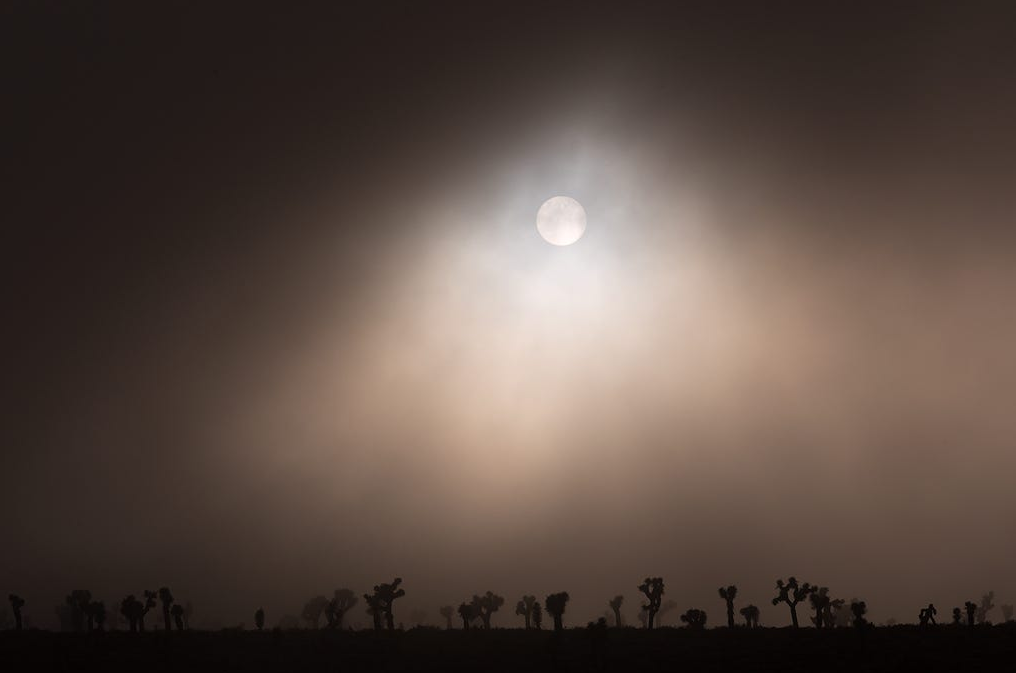 The beauty of the lifeless land - The photo, Desert, Landscape, Dunes, Valley, Horizon, Longpost