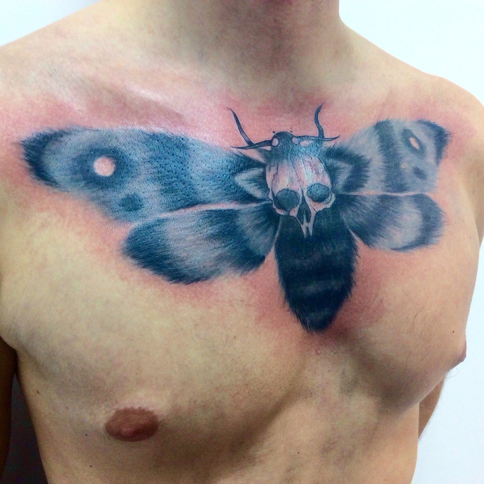 Butterfly - My, Tattoo, Sketch, Butterfly, For subscribers