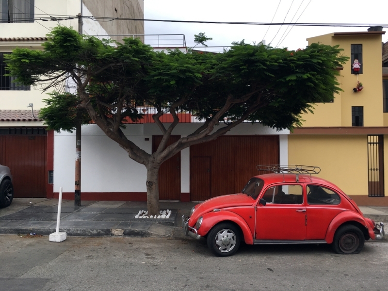 Three weeks in Peru: thatched island, coca leaves and altitude sickness - My, Peru, Longpost, The photo, South America, Travels, Tourism