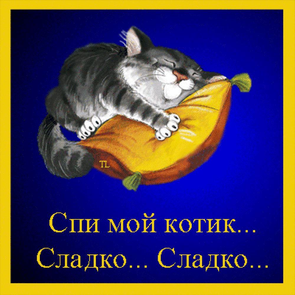 Спи мой мальчик слушать. Спокойной ночи котик мой. Сладких снов мой котик. Сладких снов любимый котик. Спокойной ночи котики.