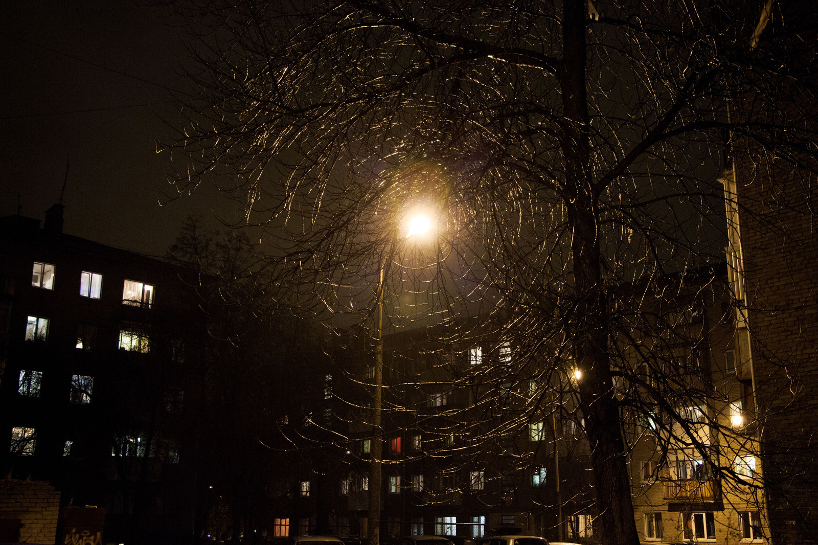 Around the world - My, Night, The street, Lamp, Branch