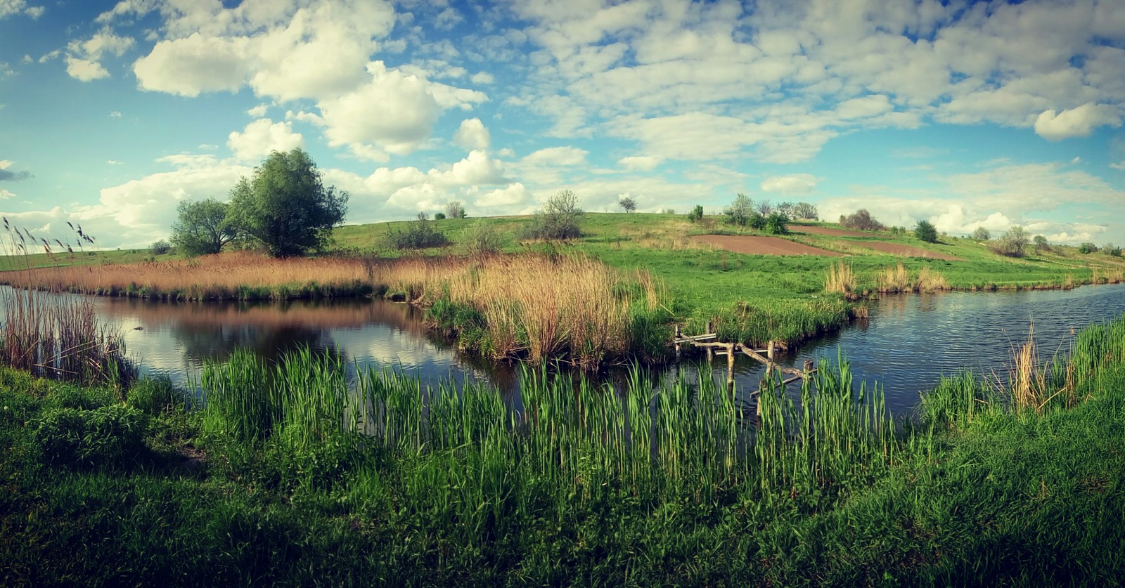 On crucian - My, The photo, River