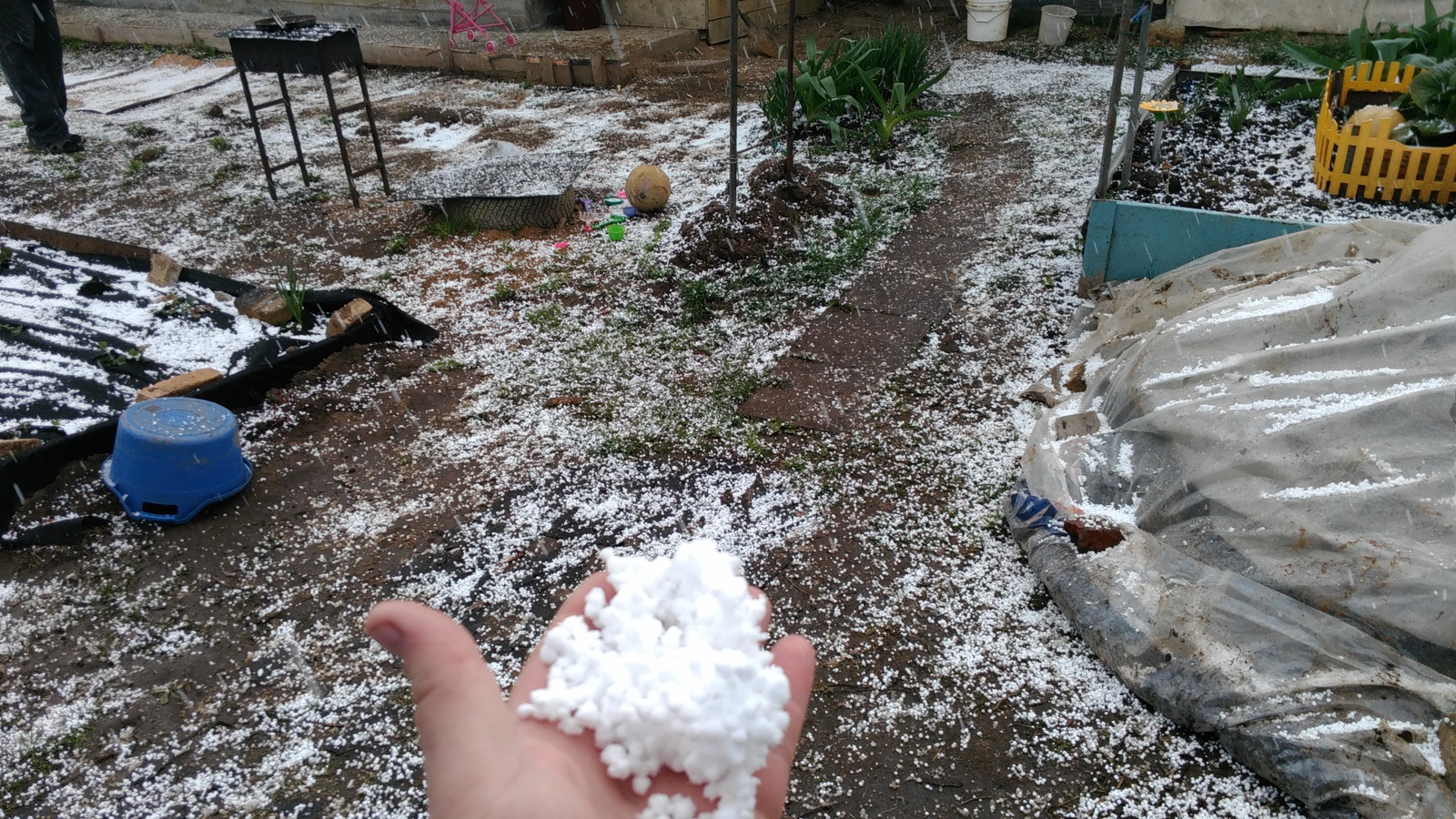 Weather in May. - My, The photo, Hail, Weather, May