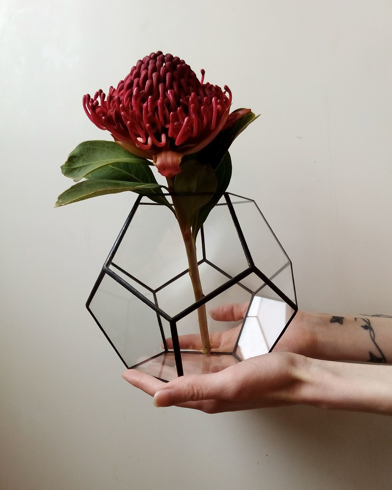 Dodecahedron - My, Florarium, Soldering, With your own hands, Handmade, Handmade, Creation, Rukozhop, Needlework with process, Longpost