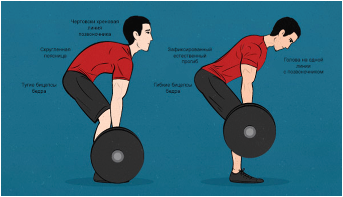 Neutral spine position - My, Sport, Тренер, Training program, Physical Education, Health, Spine, Lordosis, Sports Tips, Longpost