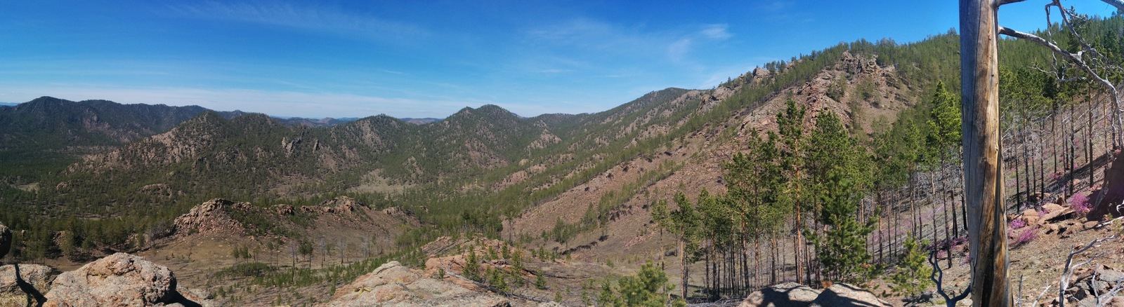 Merkit fortress - My, Buryatia, Hiking, , Tracking, Apricot, Longpost