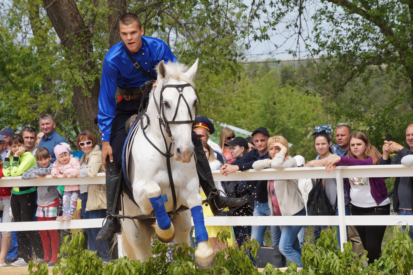 All-Russian Cup in Dzhigitovka - My, Horses, Horses, Dzhigit, The photo, Longpost