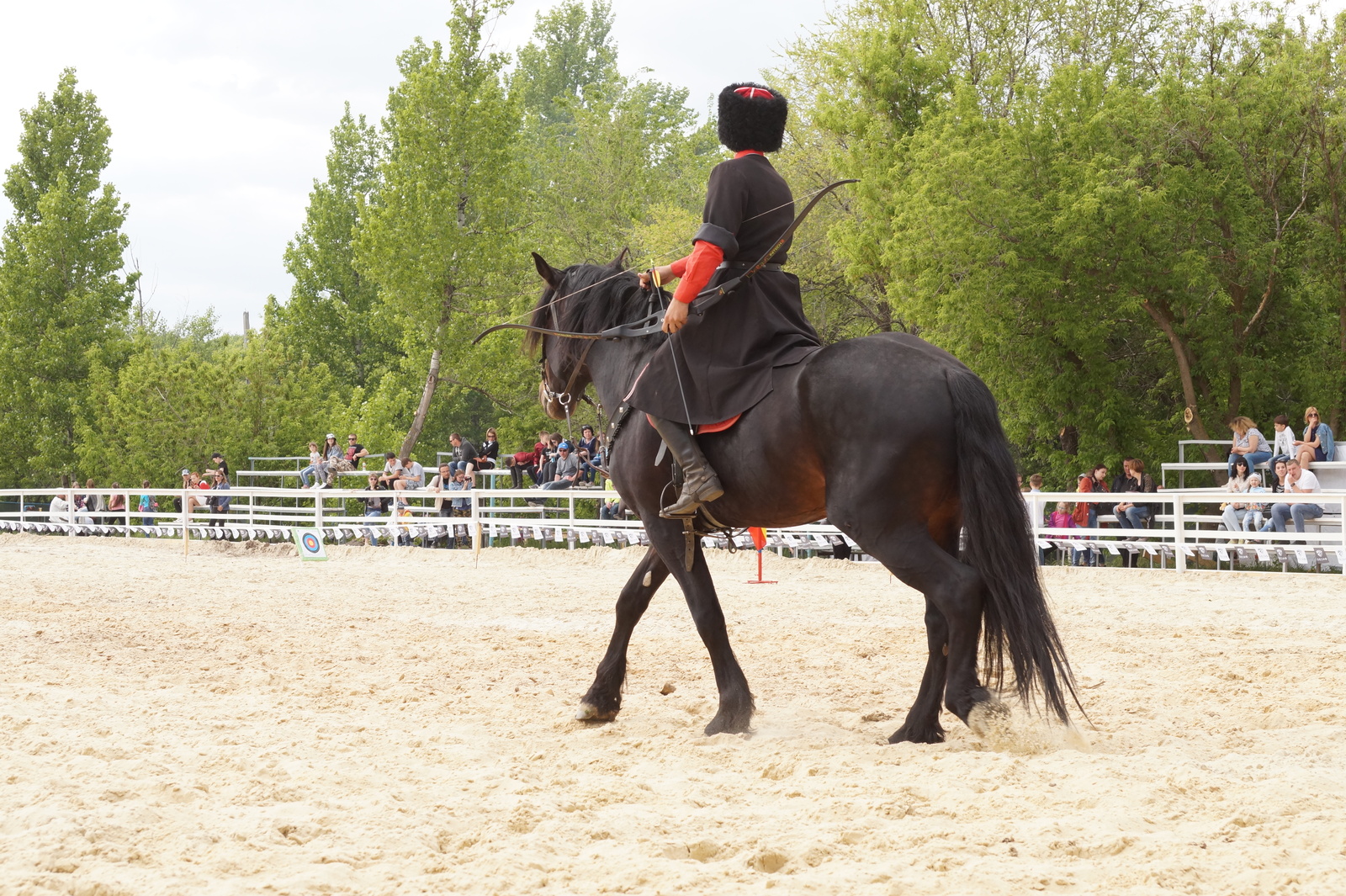 All-Russian Cup in Dzhigitovka - My, Horses, Horses, Dzhigit, The photo, Longpost