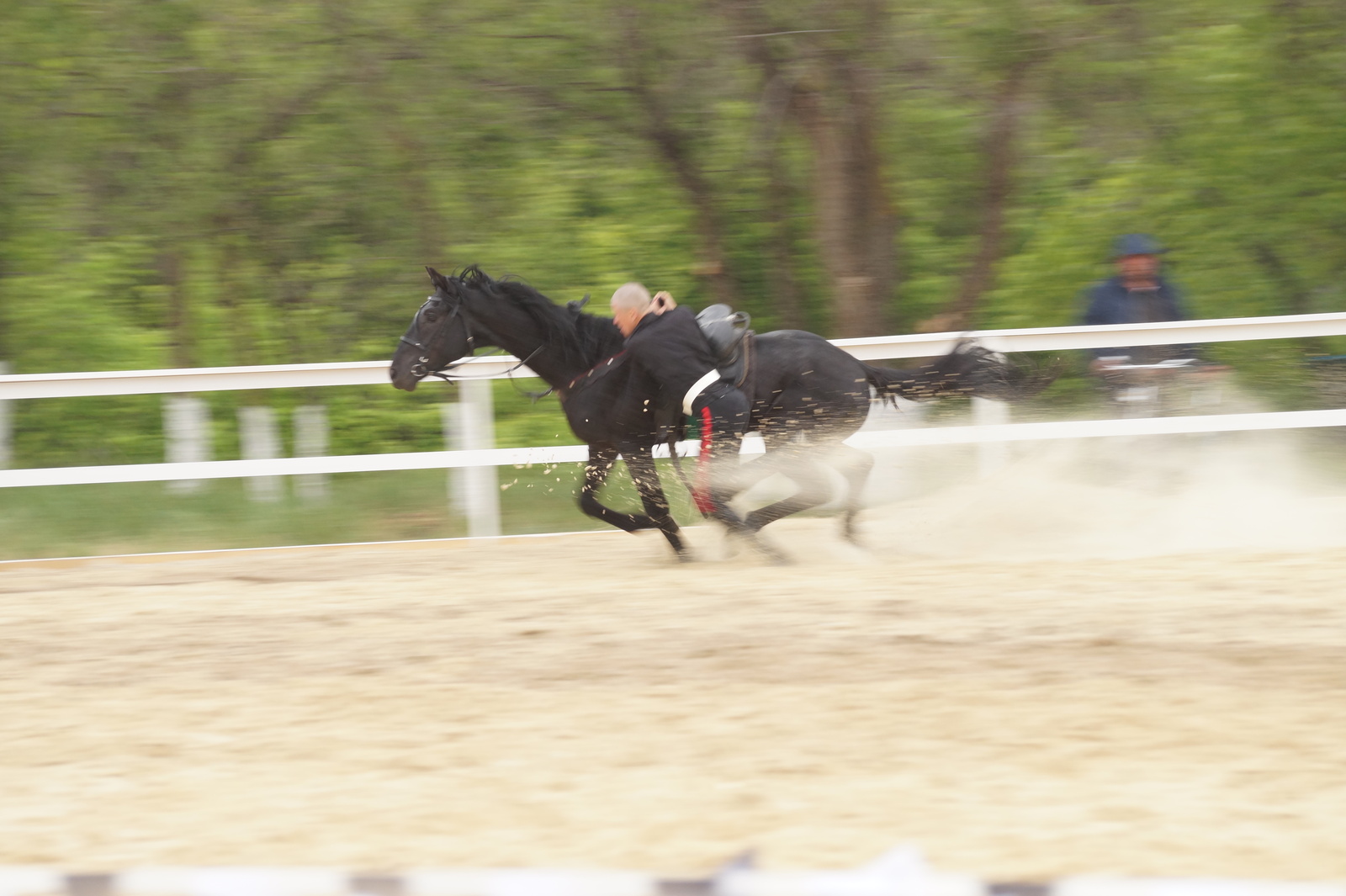 All-Russian Cup in Dzhigitovka - My, Horses, Horses, Dzhigit, The photo, Longpost