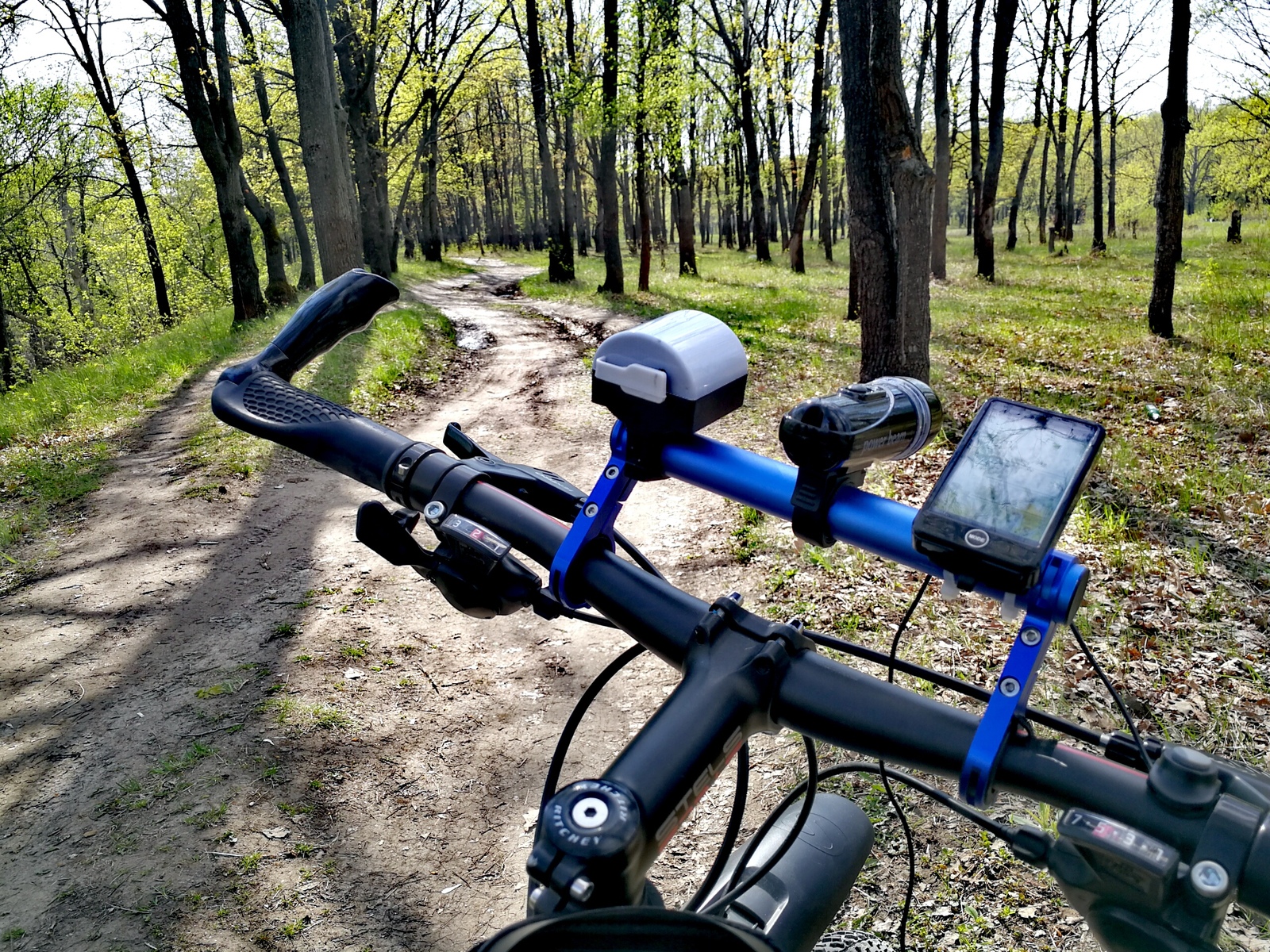 The weather today pleased me, I took a bicycle and rushed into the forest. - Longpost, Nature, The photo, cat, Horses, Forest, Huawei mate 9, Dzerzhinsk