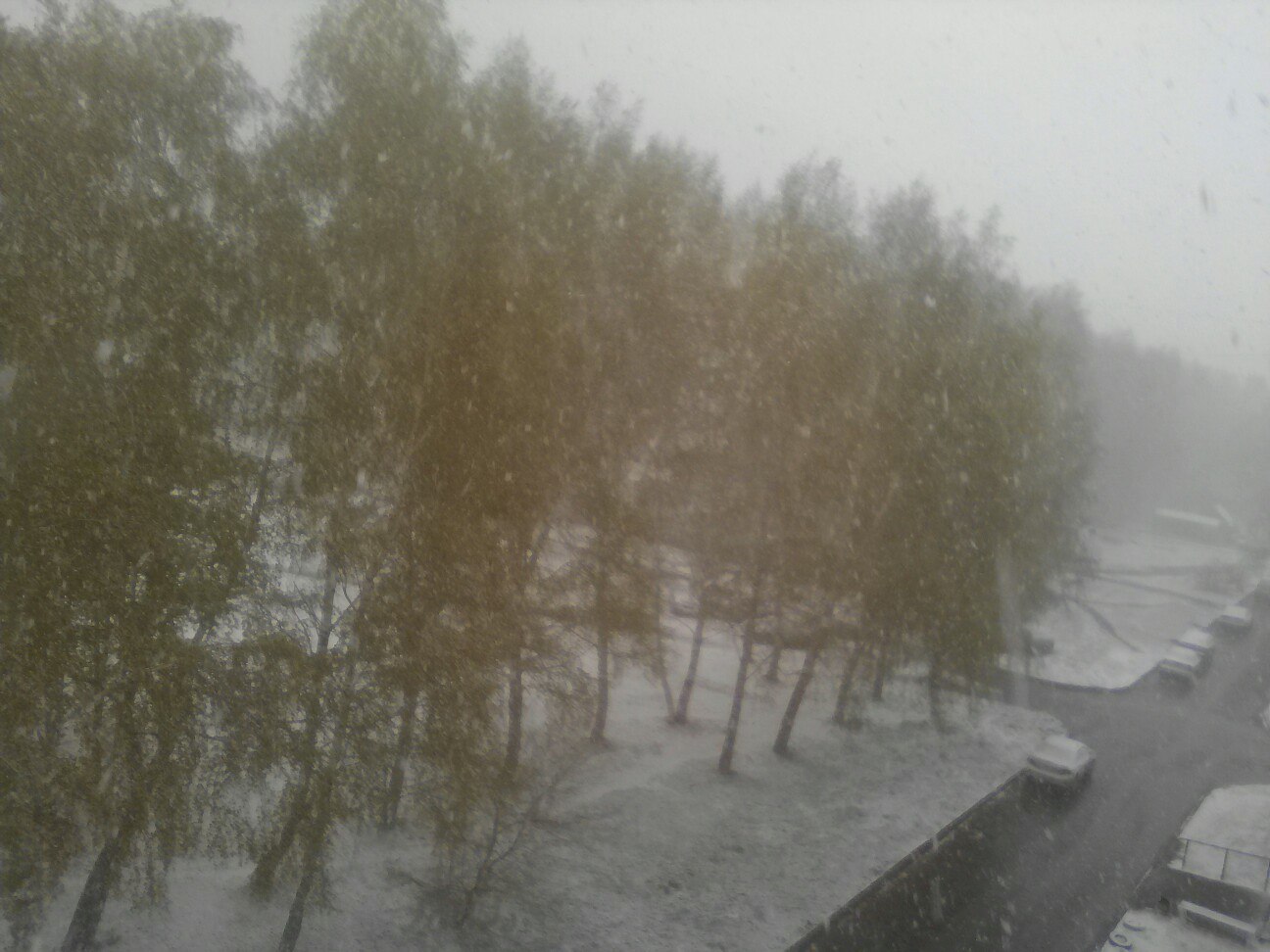 Kemerovo. May. The best time for snowfall. - My, Kemerovo, May, Bad weather, Snowfall, Yurga, Longpost