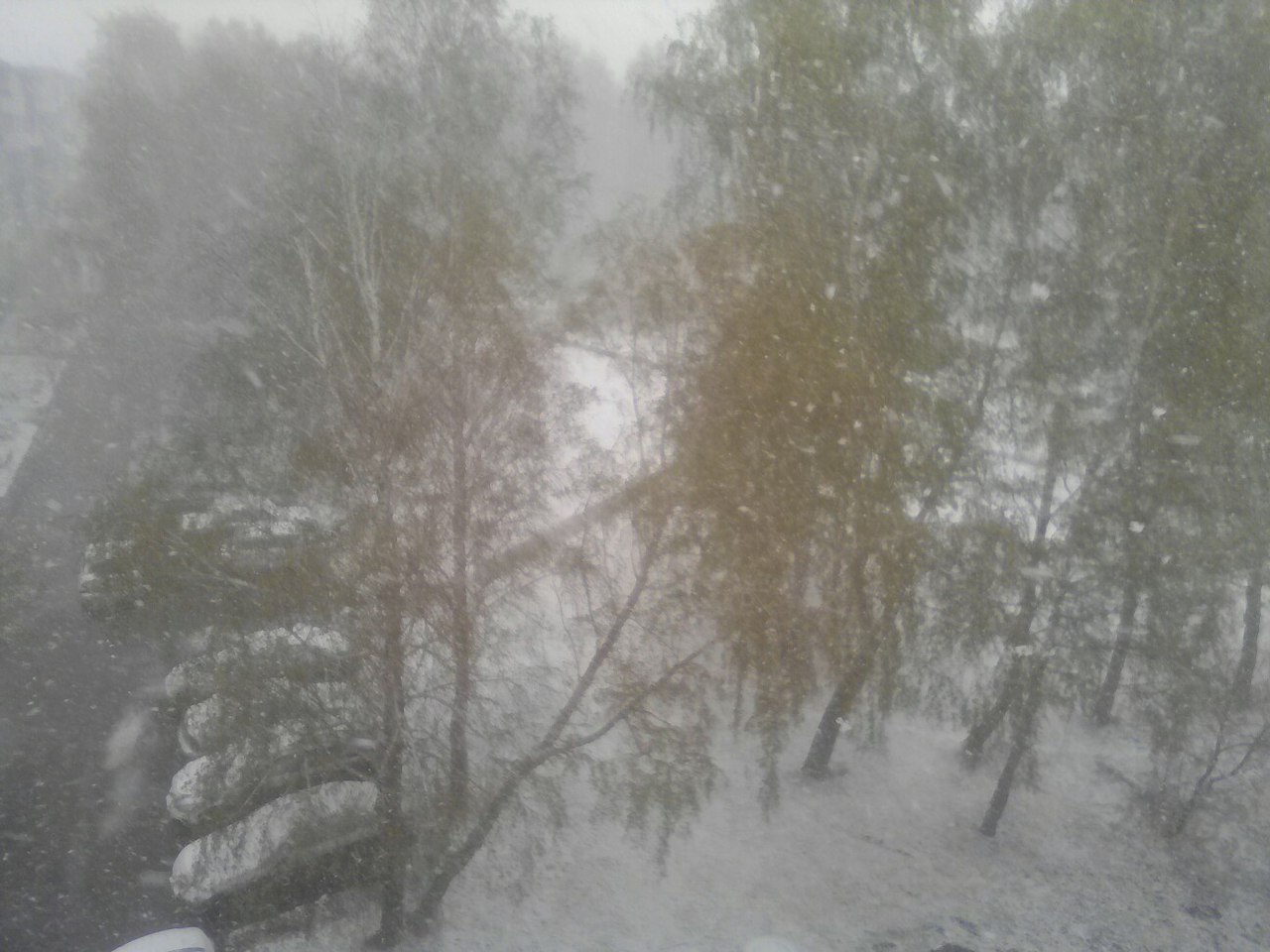 Kemerovo. May. The best time for snowfall. - My, Kemerovo, May, Bad weather, Snowfall, Yurga, Longpost