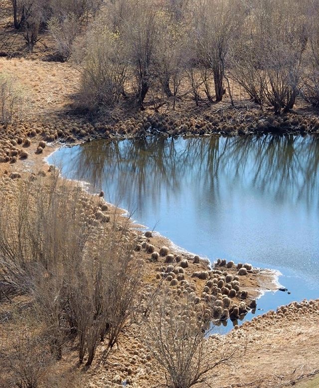 These are not sheep walking along the banks, these are bumps - Yakutia, Bump, Nature