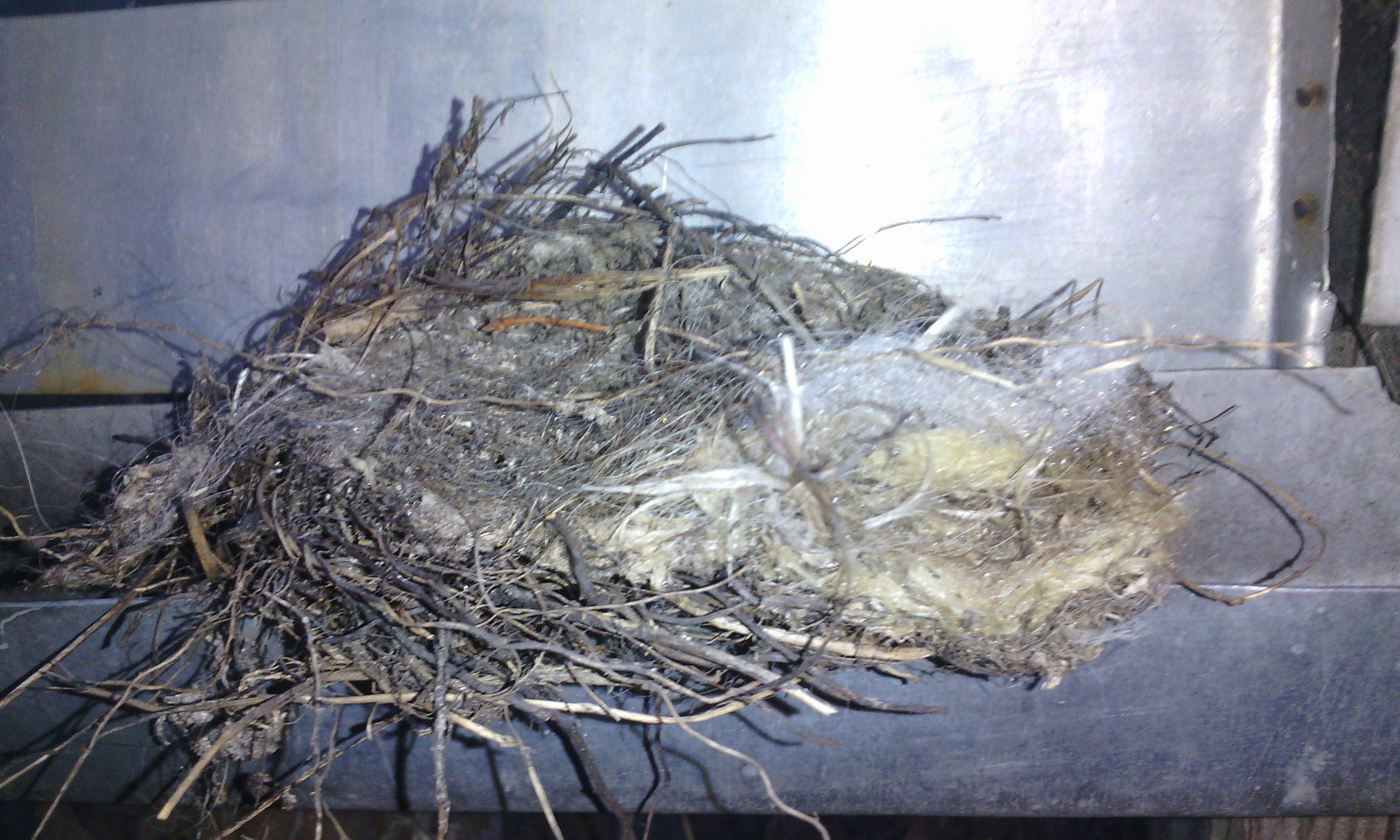 Modern technologies in nest building - My, Nest, Birds, Building, Mineral wool, Technologies