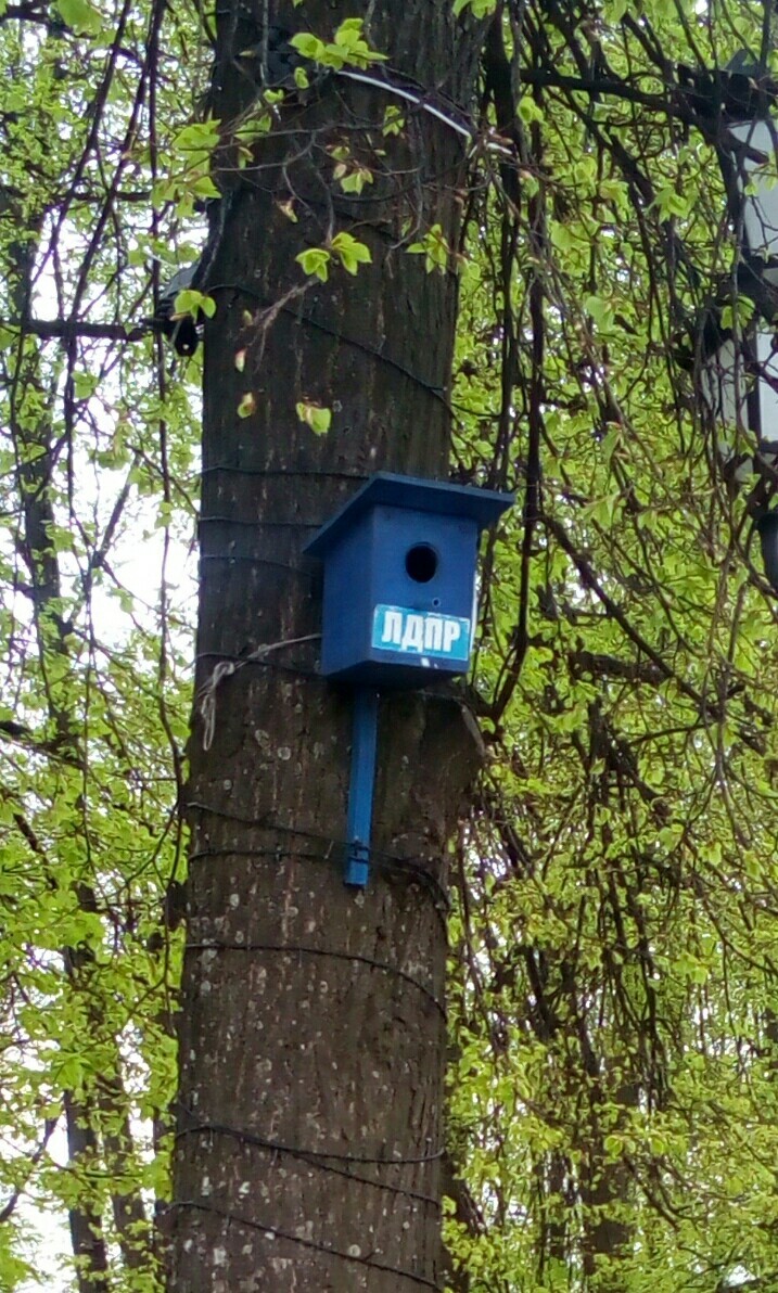 bird polling place - Elections, Birds, Liberal Democratic Party