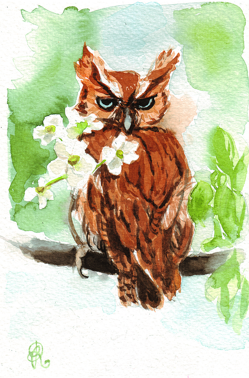 Watercolor animals and birds - My, Watercolor, Animals, Drawing, Owl, Longpost