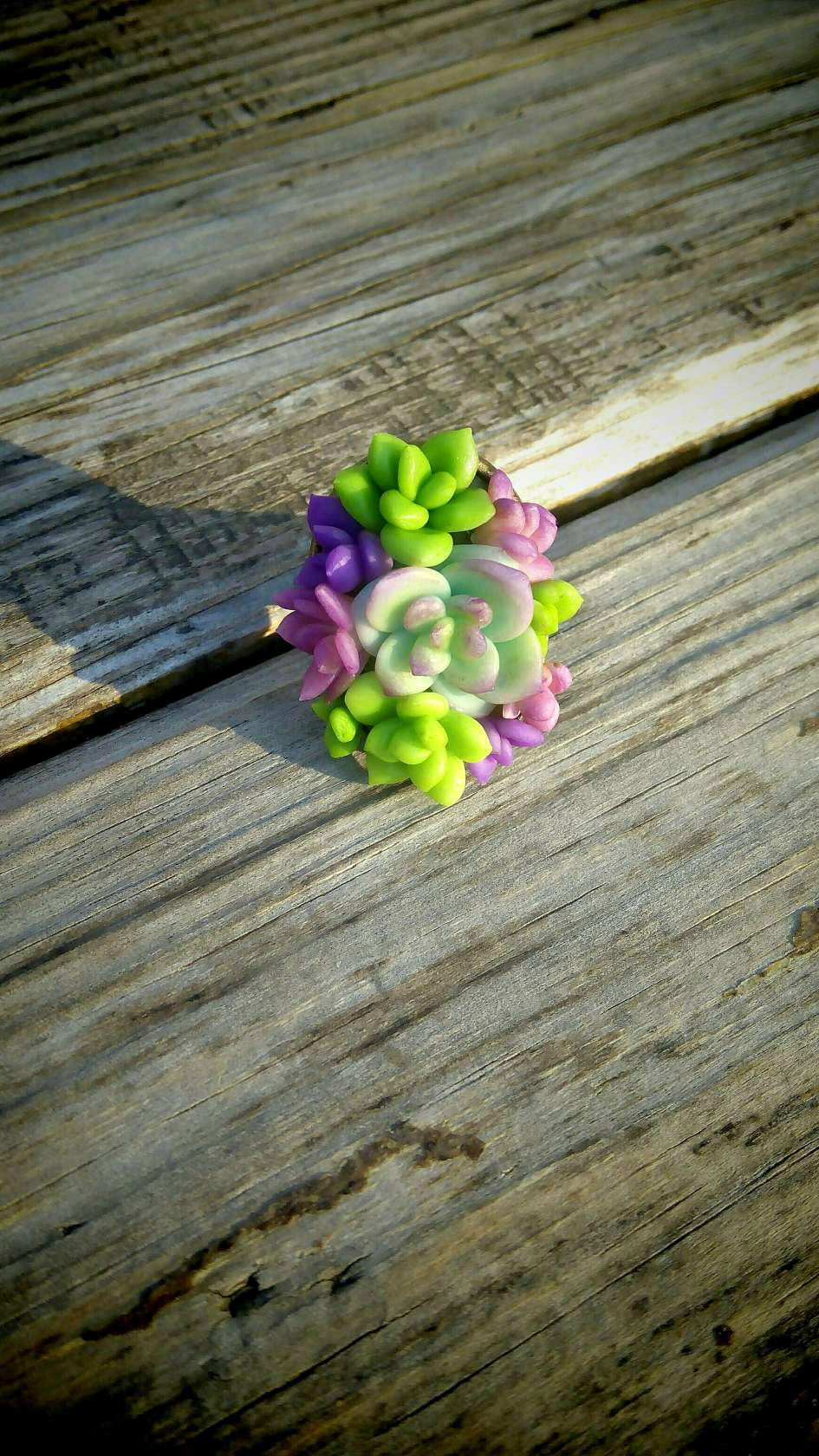 Succulents and flowers in decorations - My, Polymer clay, Cold porcelain, Needlework, Decoration, Suspension, Succulents, Handmade, Longpost