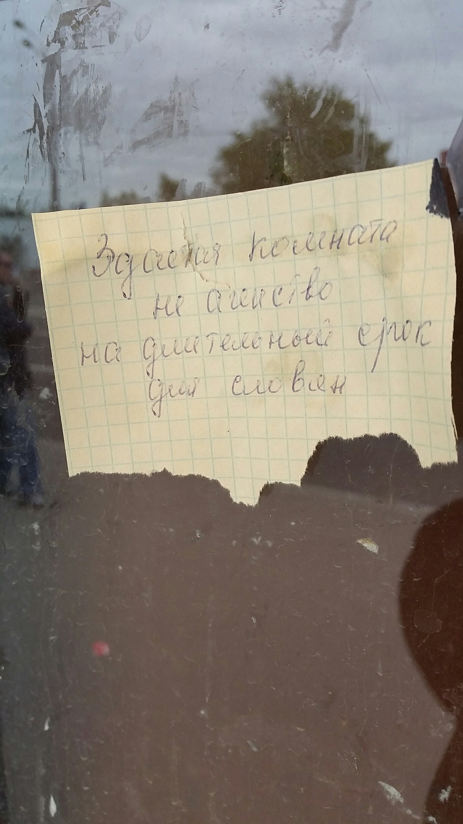 Действительно, не агентство - Моё, Объявление, Русский язык