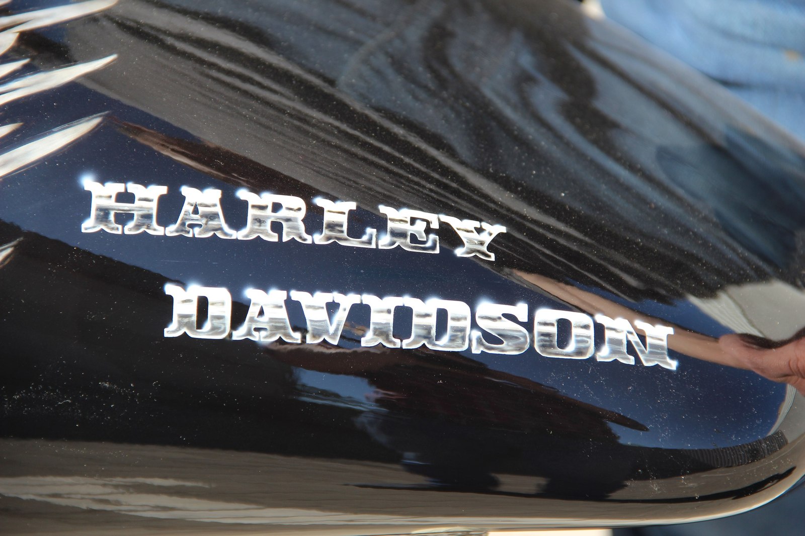 Individual order for painting elements of Harley Davidson - My, Harley-davidson, Airbrushing, Art39inc, Scull, Snake, , Moto, Motorcycles, Longpost