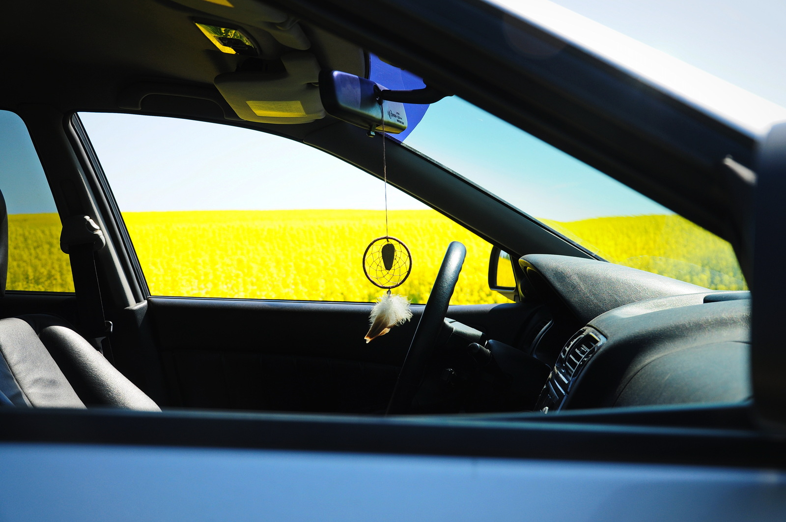 Blooming rapeseed and favorite car :) - The photo, Colza, rapeseed field, , Longpost