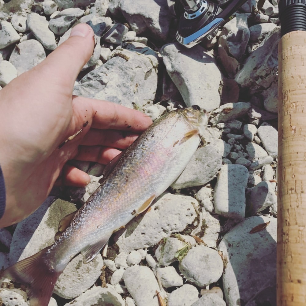 Fishing in Primorsky Krai. Mountain rivers of the South of Primorye. - My, Primorsky Krai, Fishing, Mountain river, Ultralight, Longpost