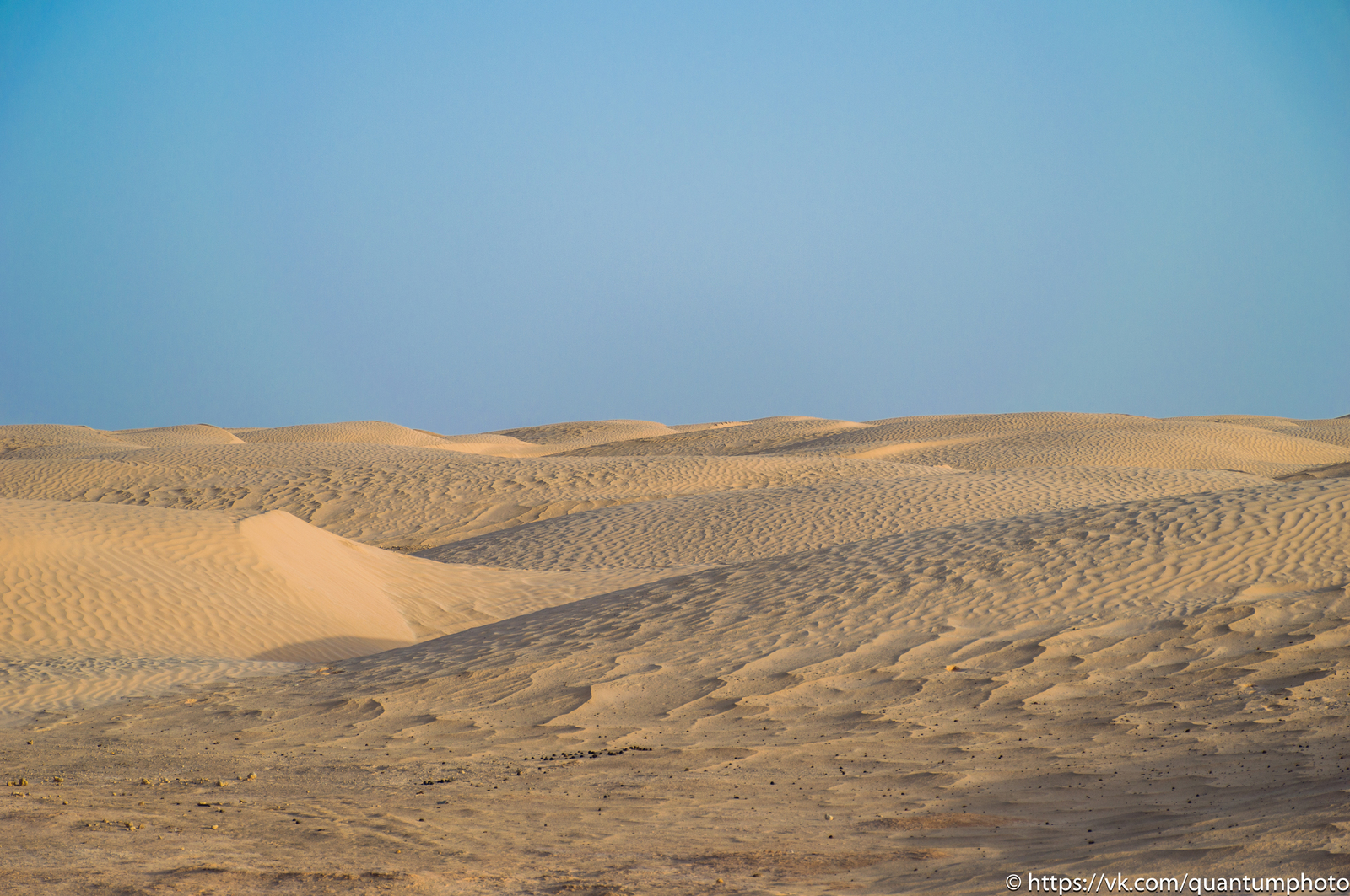 Desert - My, Desert, Sahara, Tunisia, The photo, Oasis, Sunset, Sand, Nikon, Longpost