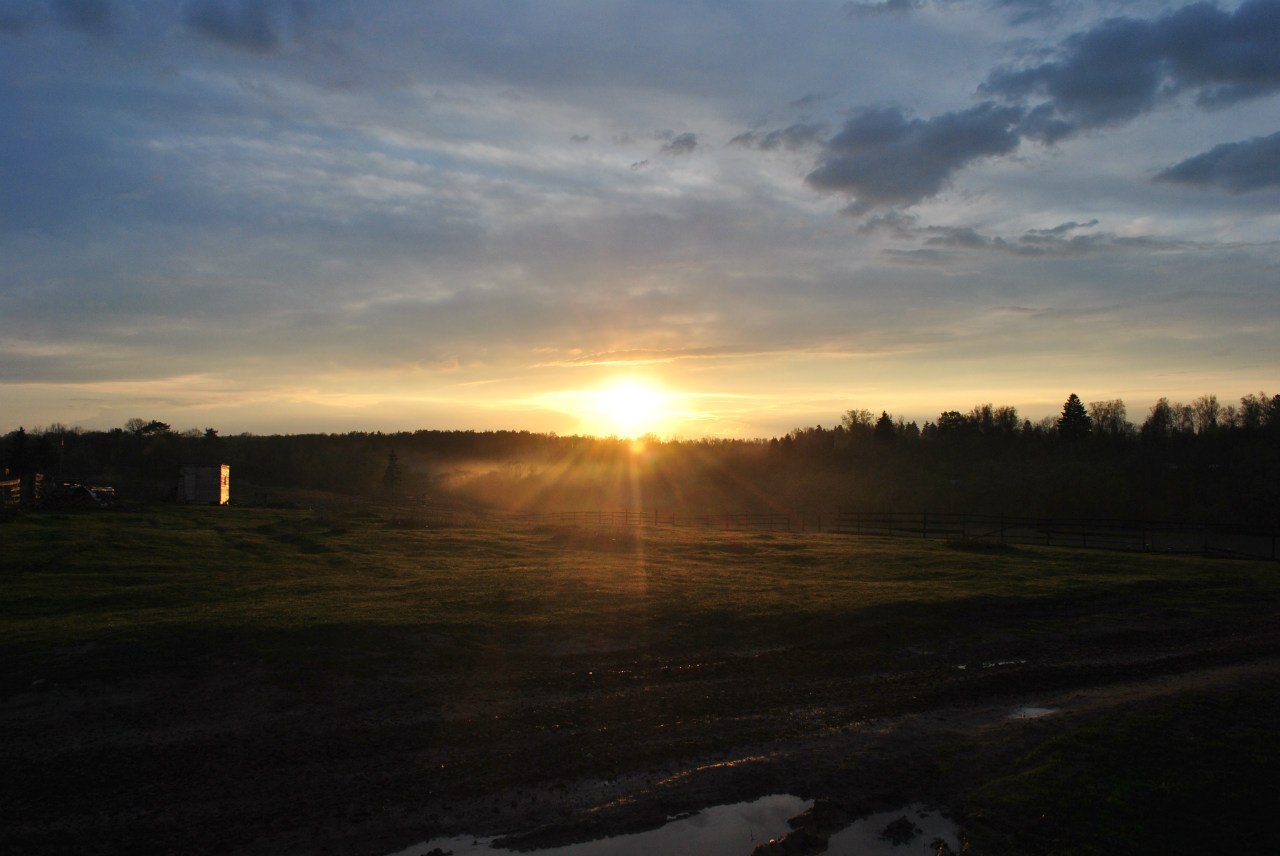 Sunset in the village of Papino (Zhukovsky district, Kaluga region, Russia) - My, Battle of sunsets, Sunset, Longpost