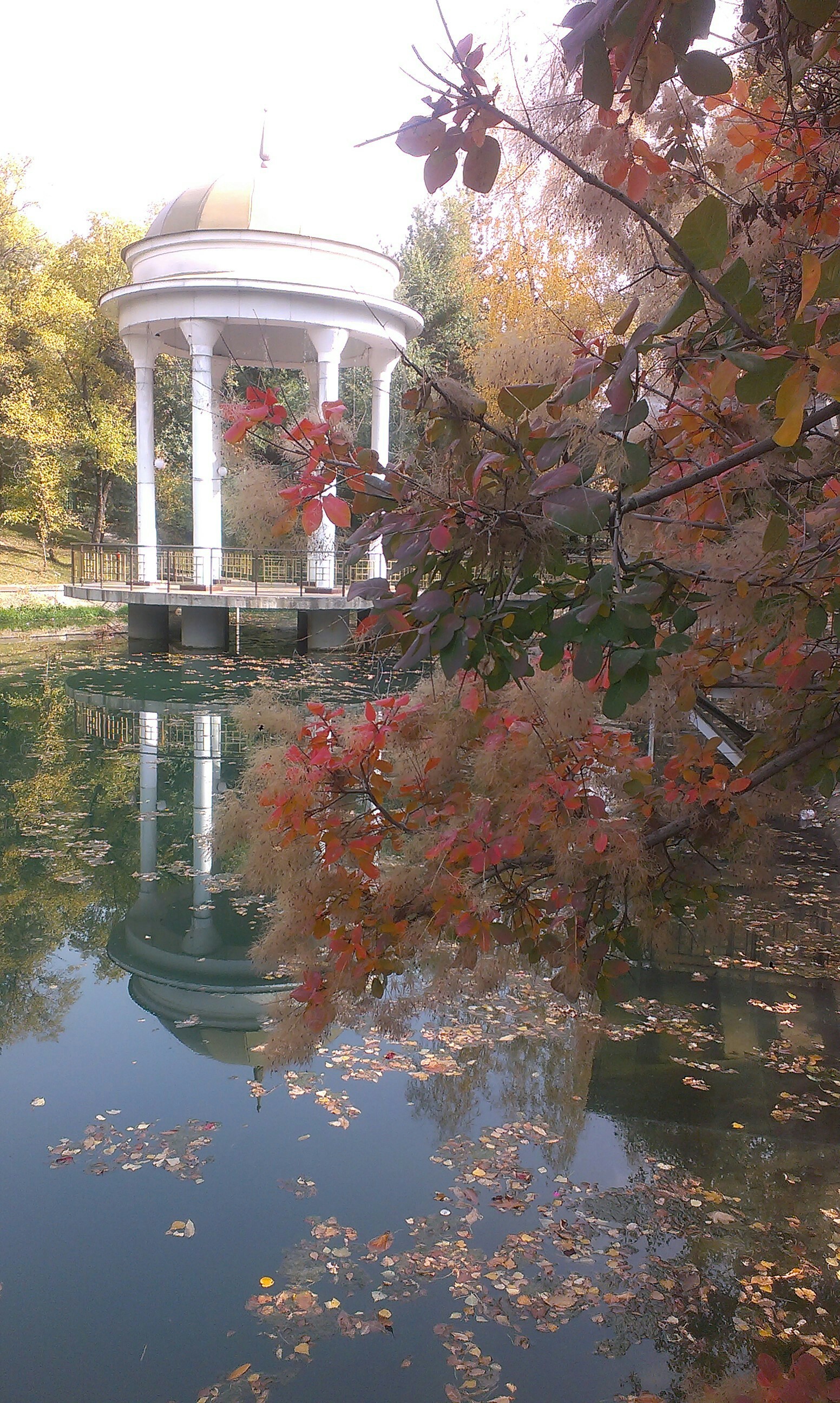 Colorful autumn. - My, The photo, beauty of nature, Lake, Longpost