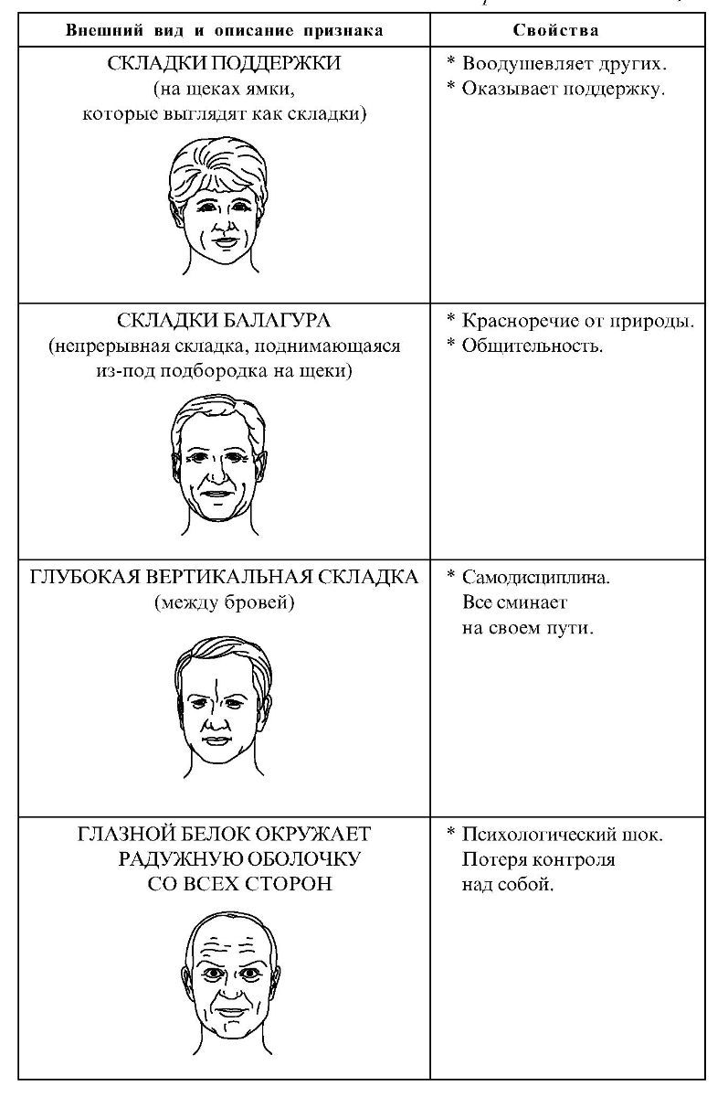 Схема классификации признаков внешности человека