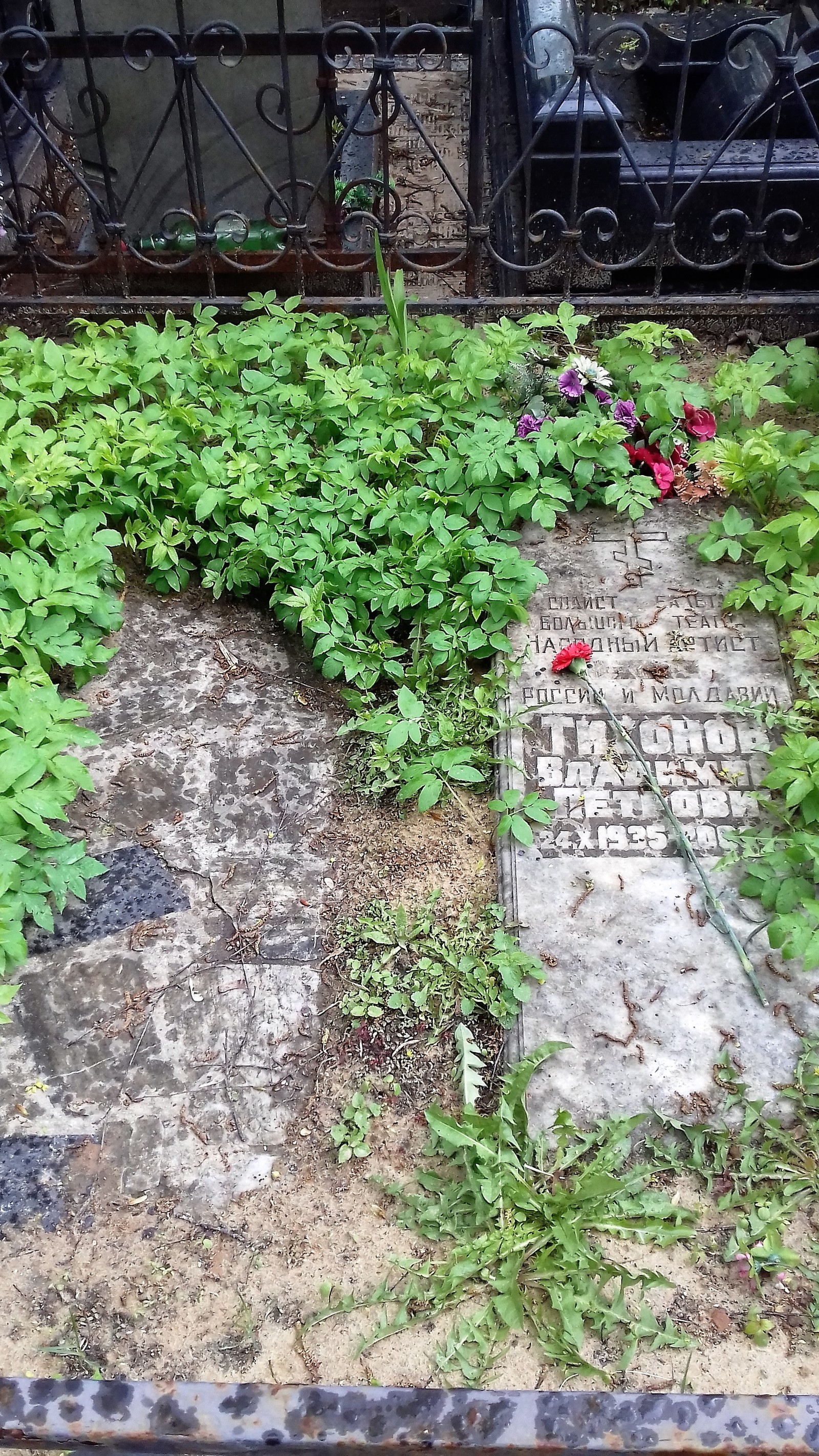 Cemetery Vagankovsky. Moscow. May 12, 2017. - My, Moscow, Cemetery Vagankovsky, May, Notes of a crazy woman, , Longpost