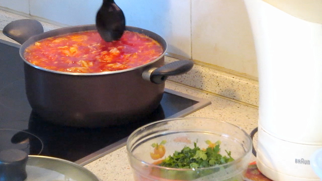 001. Our favorite borscht - My, Rumkin, , Borsch, First meal, Soup, , Yummy, Longpost, Video