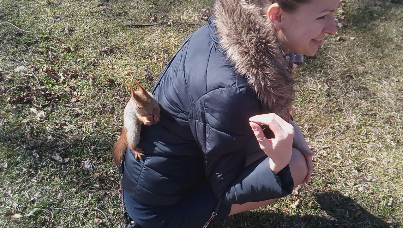 The squirrels are attacking! - My, Squirrel, Peterhof, Saint Petersburg