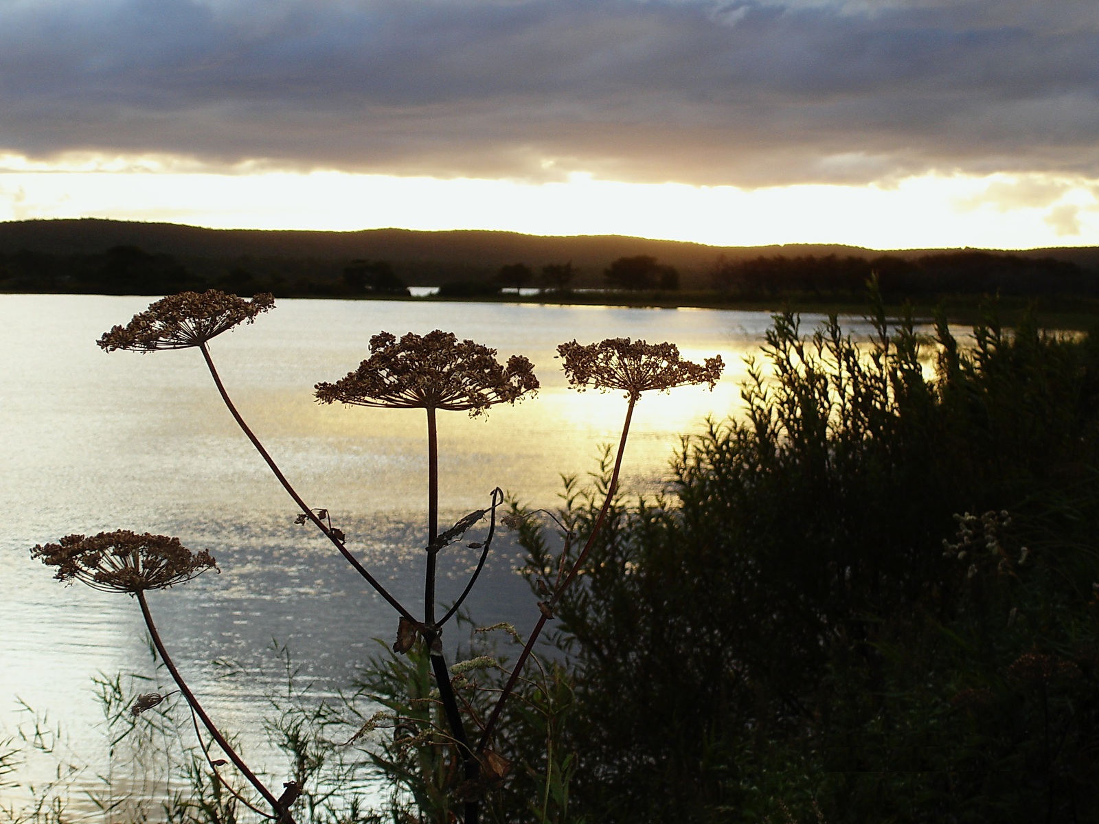 Well, one more time about sunsets... - My, Sunset, Sakhalin, Battle of sunsets