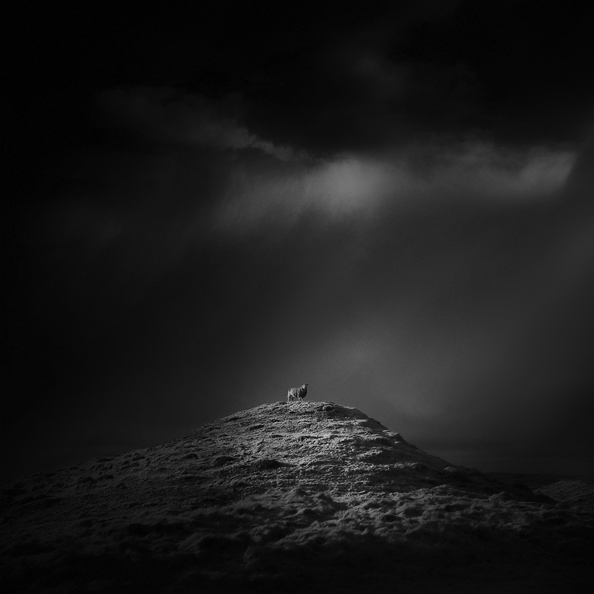 Space Monologues by Andy Lee - , The photo, Longpost