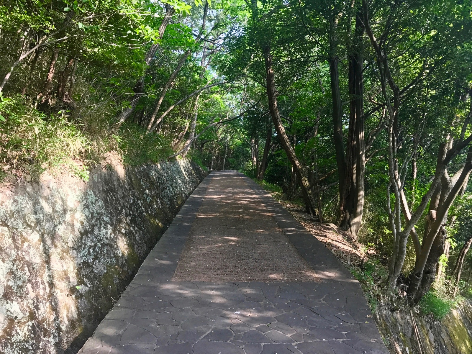 Climbing Mount Yashima. Takamatsu. Japan. - My, Japan, Travels, , Sunset, Longpost